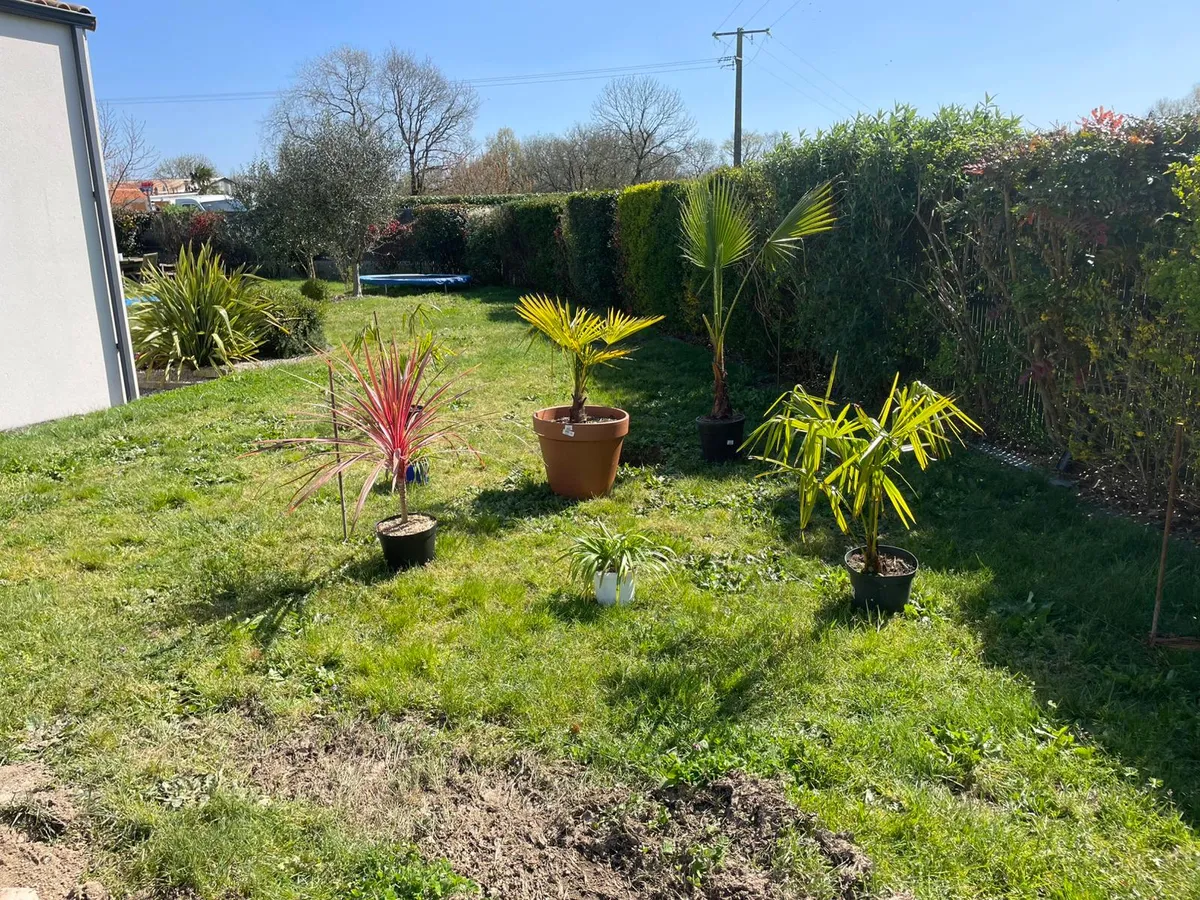 numa-creation-paysagiste-coex (13)-petite