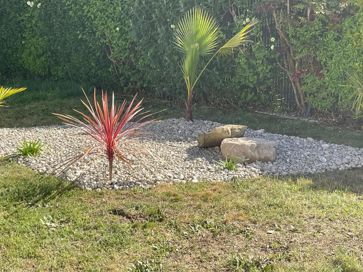 numa-creation-paysagiste-coex (4)-petite