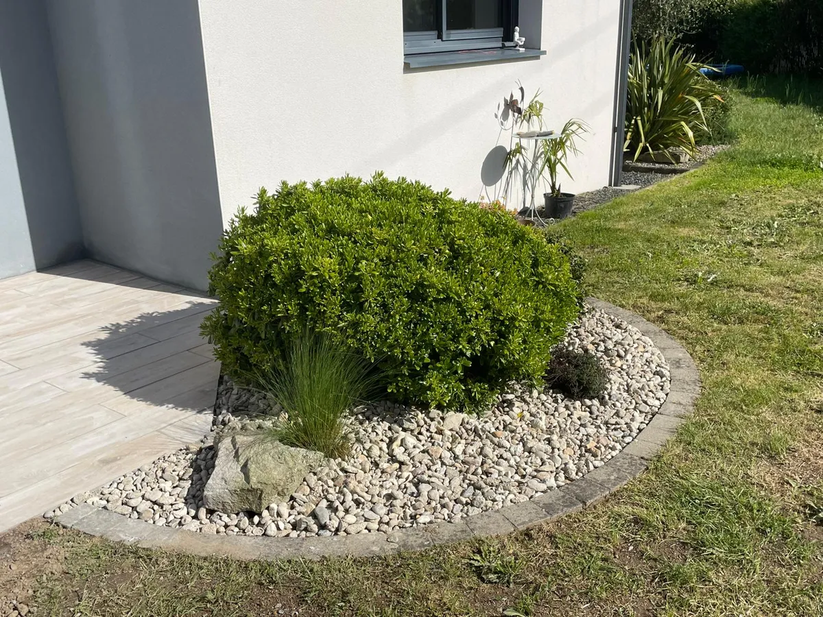 numa-creation-paysagiste-coex (5)-petite