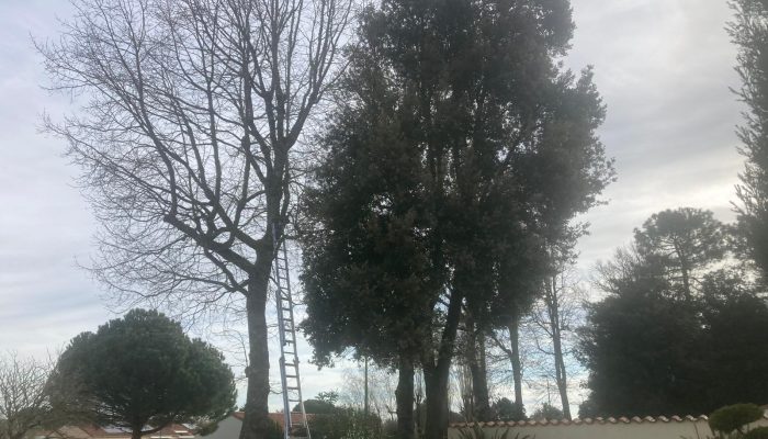 IMG-20240927-WA0023