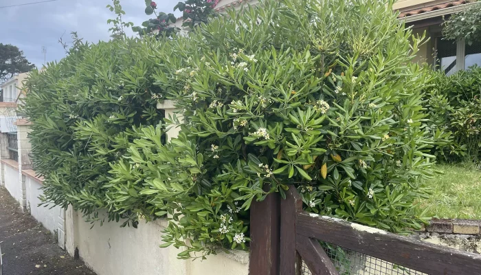 Réalisation d'une création de jardin par Numa Création, paysagiste à Coëx