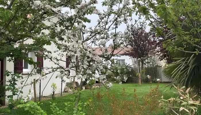 realisation-entretien-jardin-numa-creation-coex-1-transformed