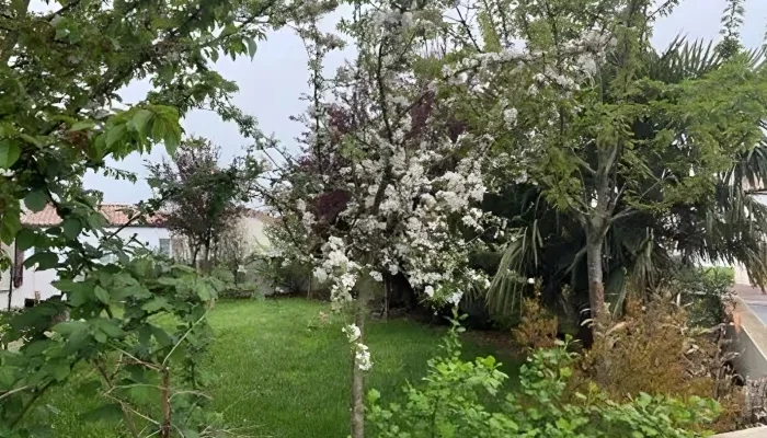 realisation-entretien-jardin-numa-creation-coex-2-transformed